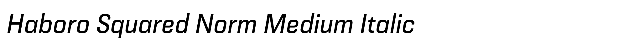 Haboro Squared Norm Medium Italic image